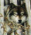 wolf114
