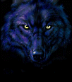 wolf200